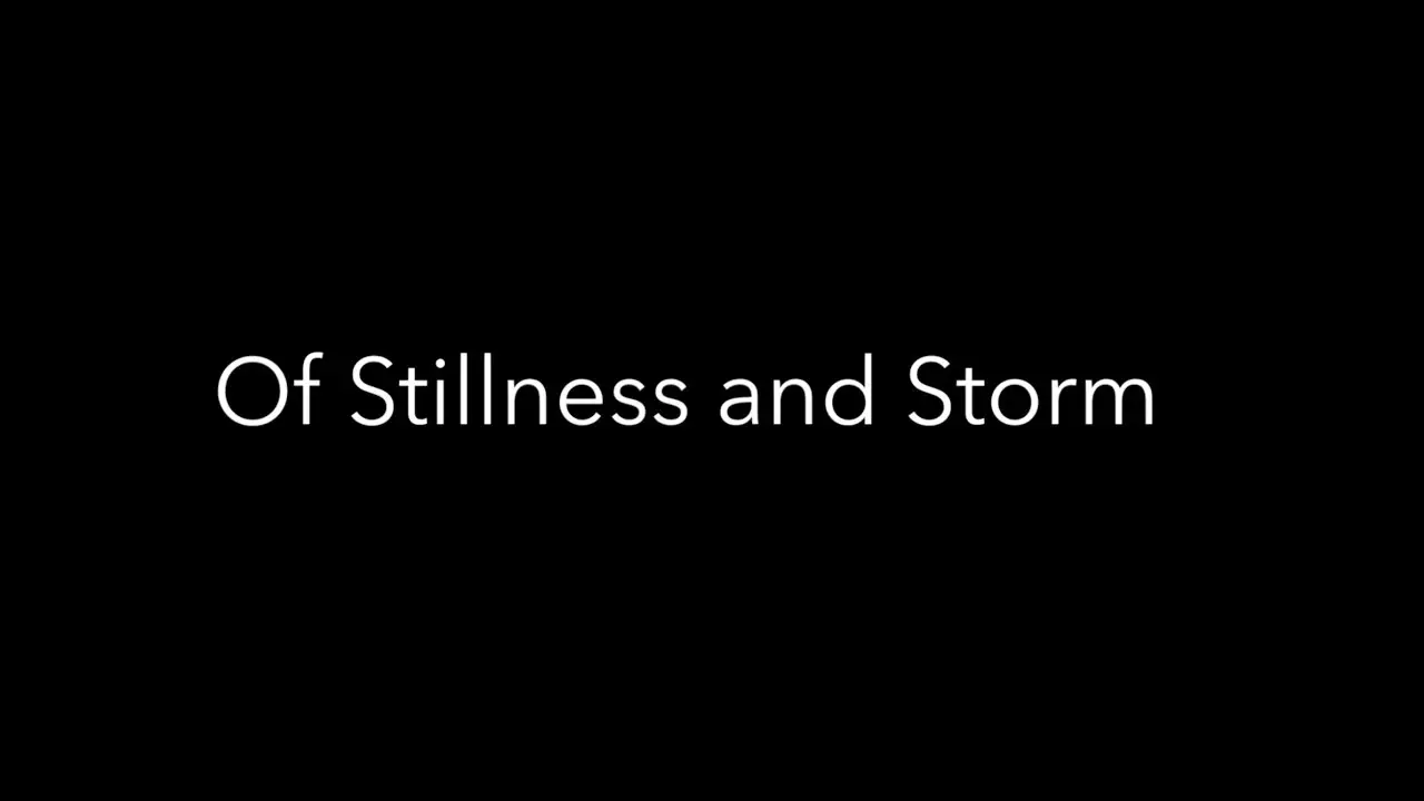 Stillness — trailer