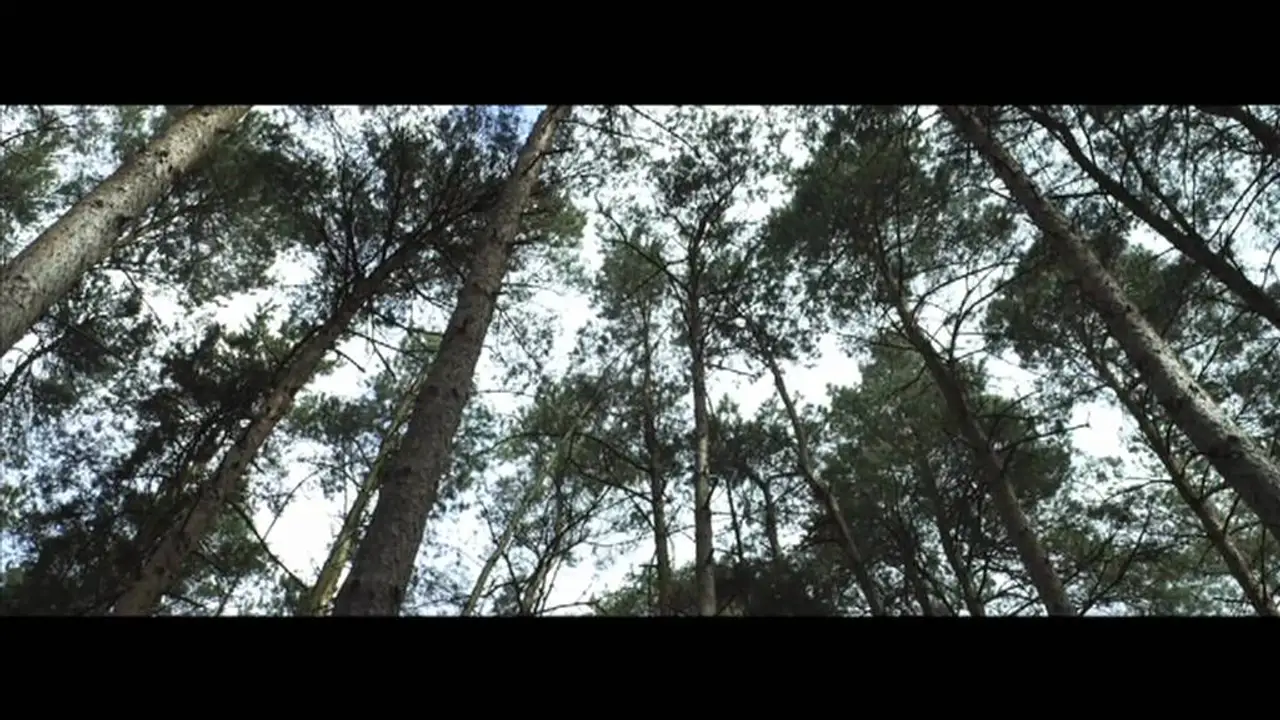 The Hike — trailer