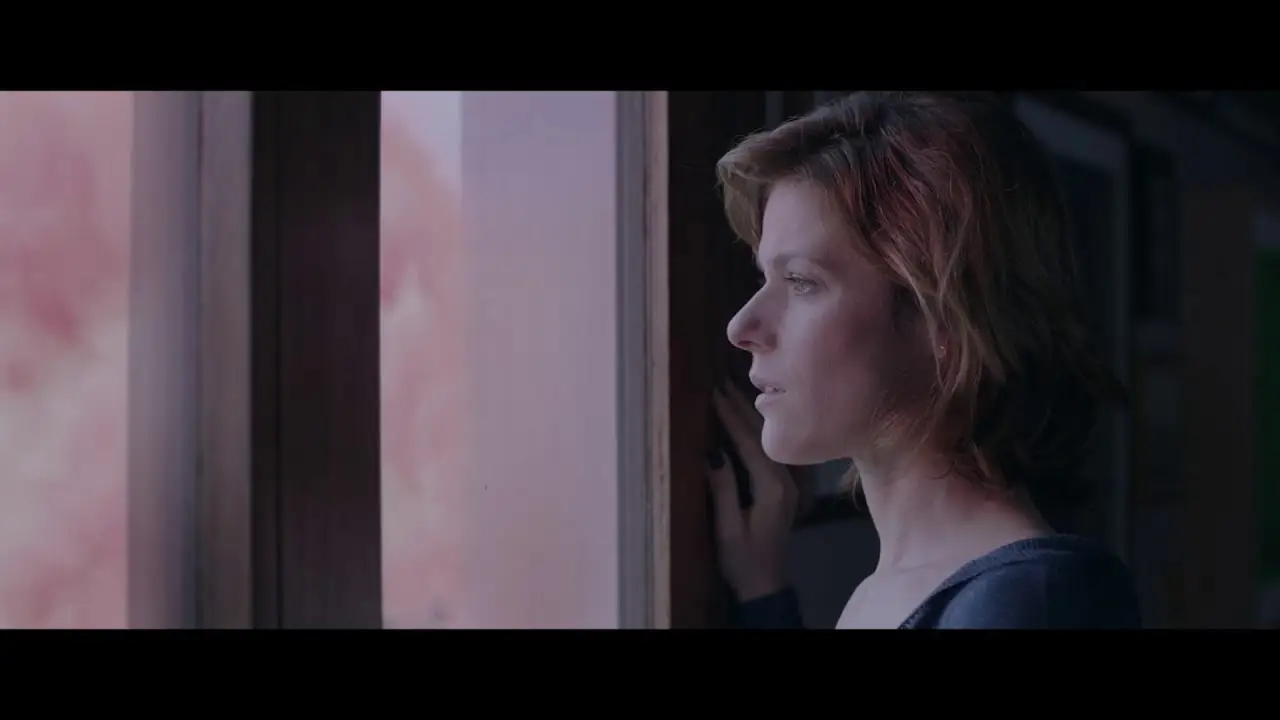 The Pink Cloud — trailer