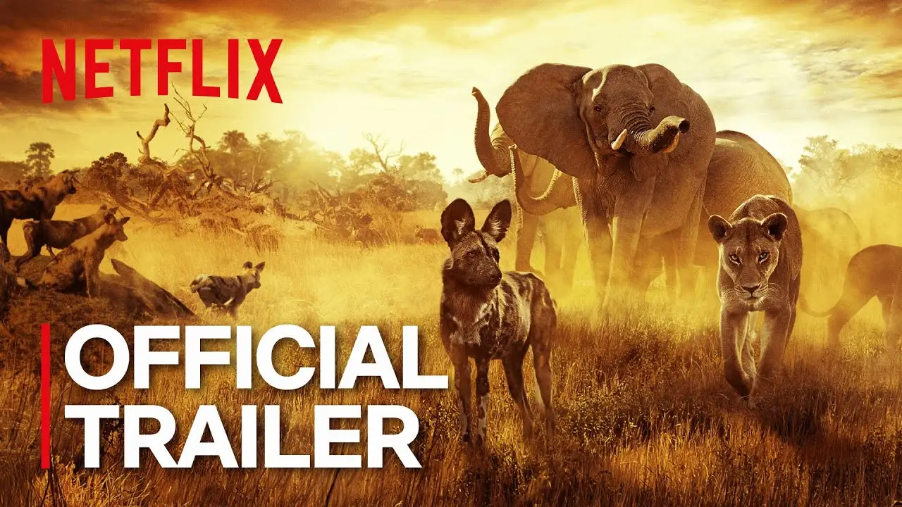Surviving Paradise — trailer