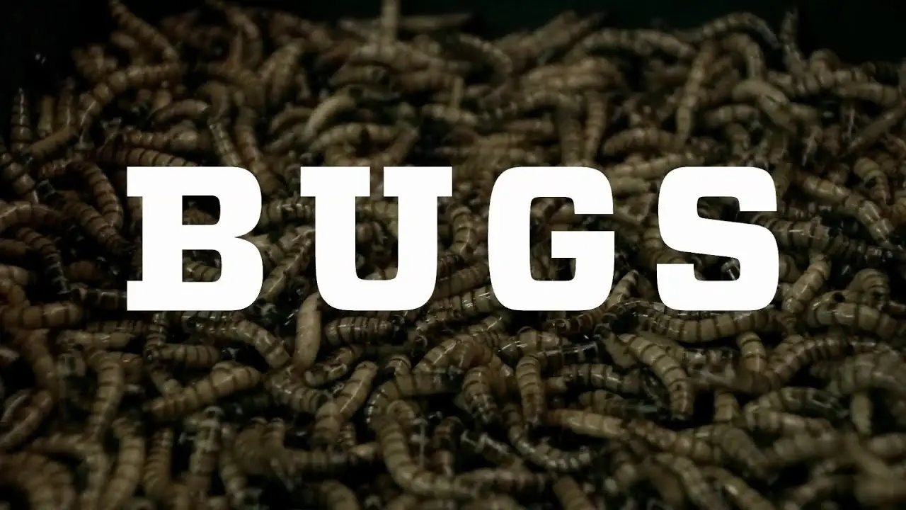 Bugs — trailer