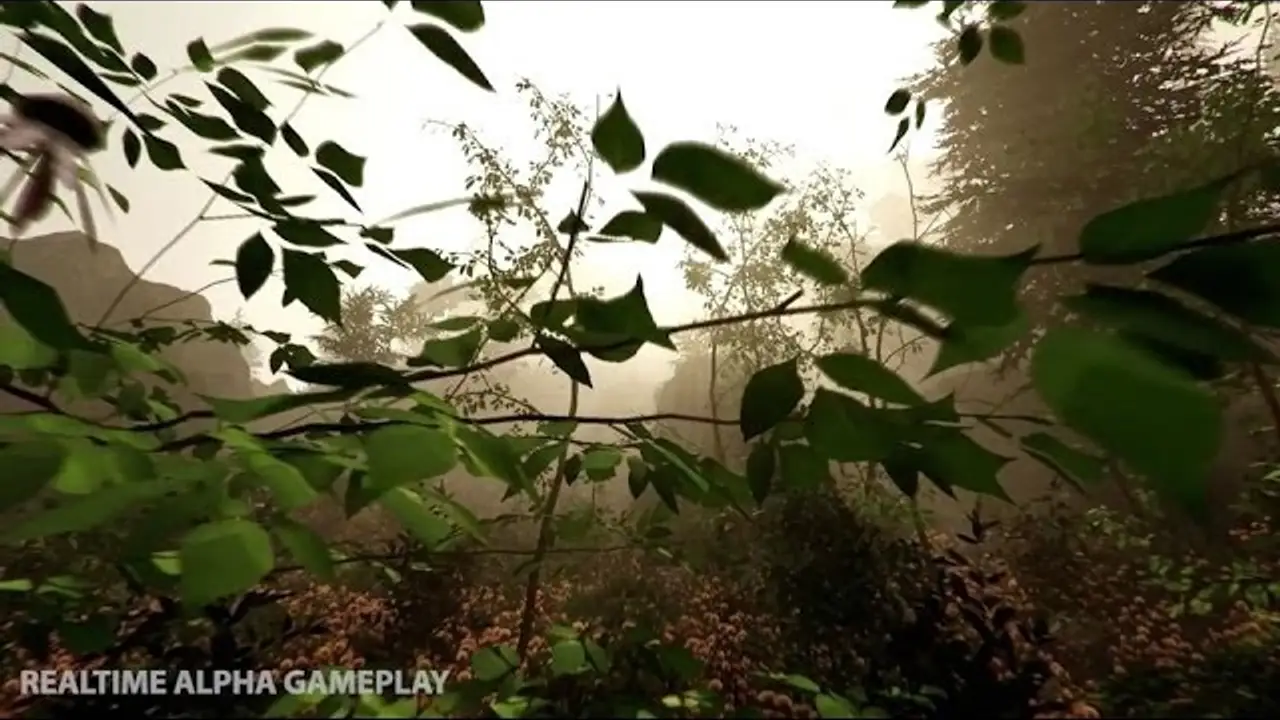 The Forest — trailer