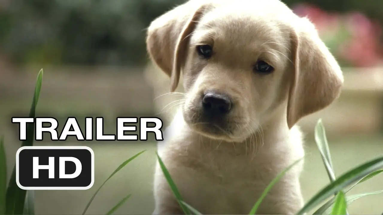Quill — trailer