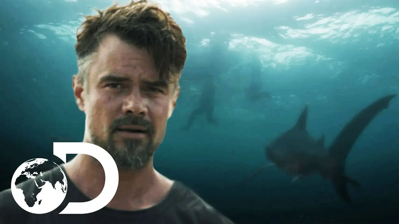 Capsized: Blood in the Water — trailer