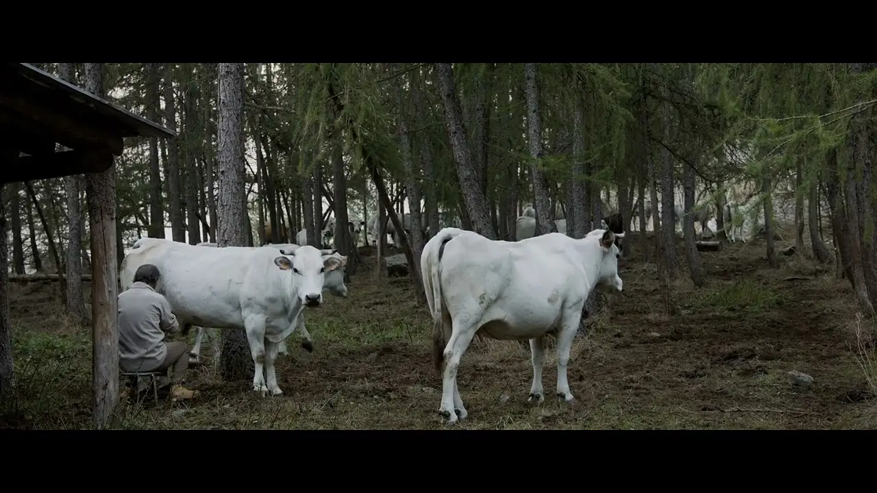 Alpenland — trailer