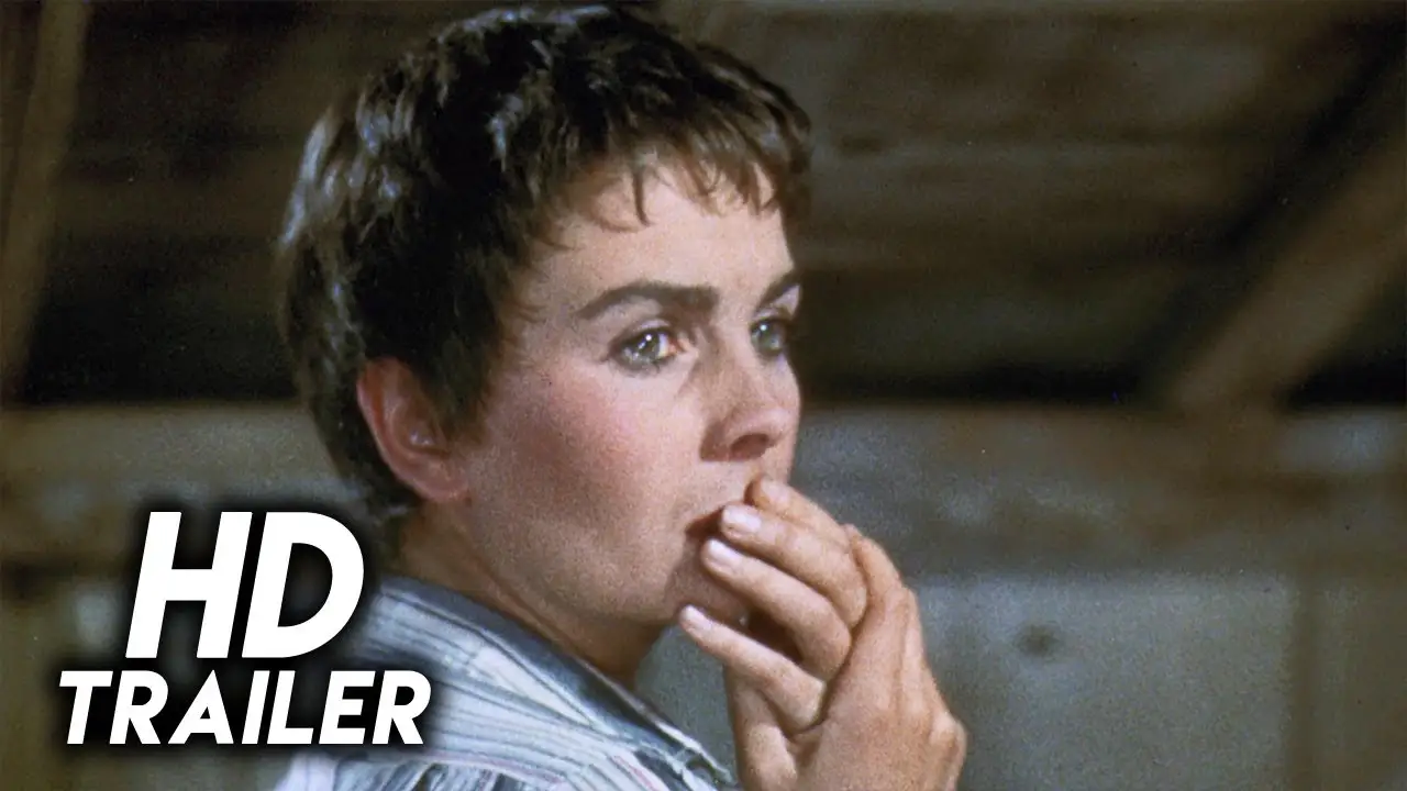 A Bullet Is Waiting — trailer