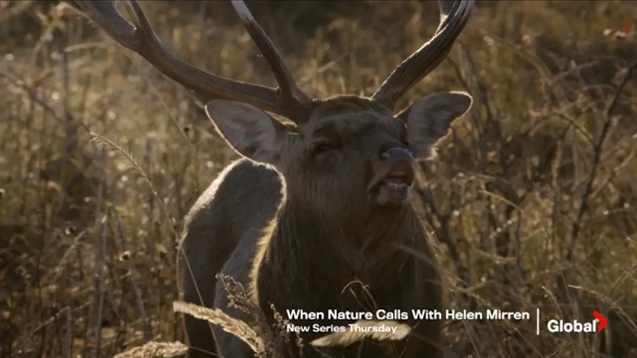 When Nature Calls with Helen Mirren — trailer
