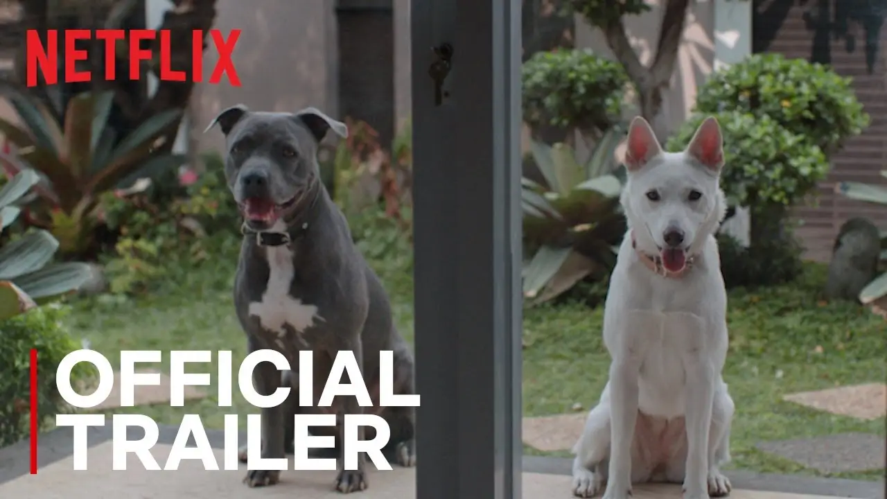 June & Kopi — trailer