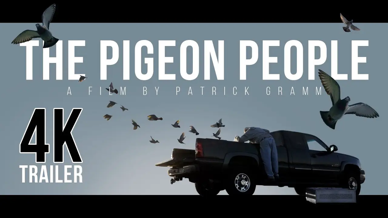The Pigeon — trailer