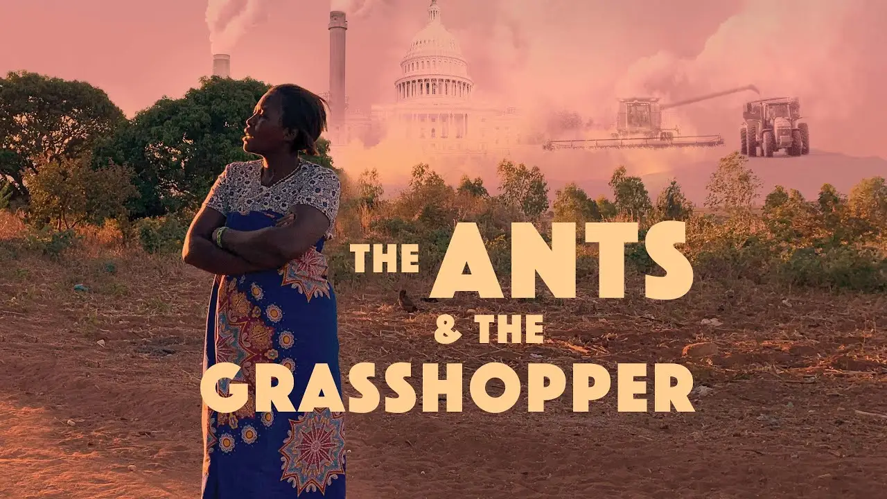 Ants — trailer