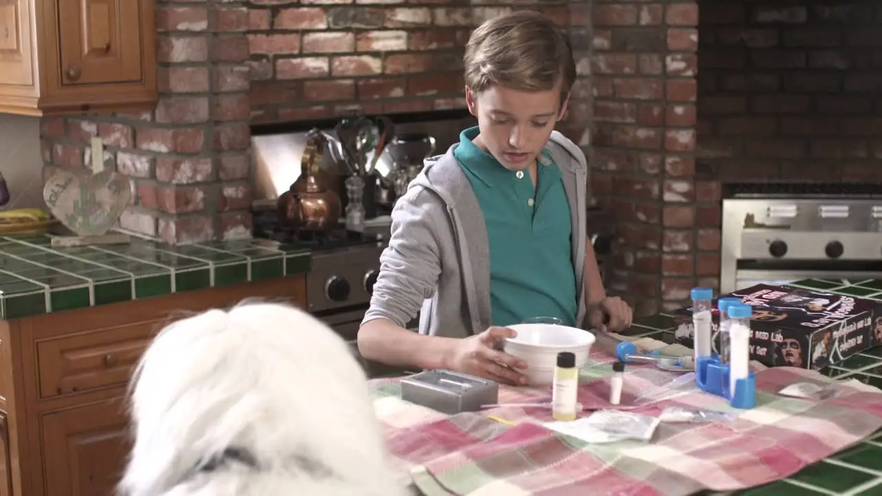 Abner, The Invisible Dog — trailer