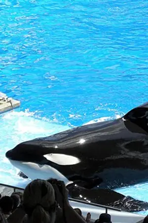 Tilikum