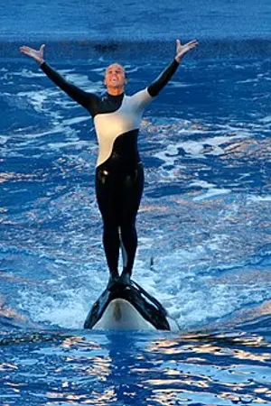Dawn Brancheau