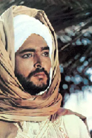 Aly Ben Ayed