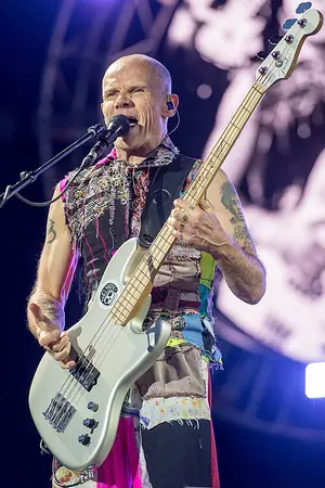 Flea