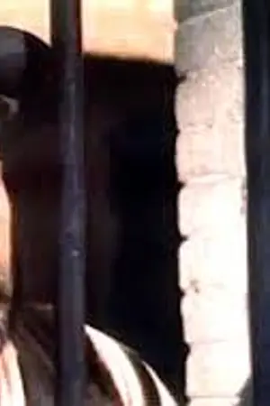 Роберто Камардьель