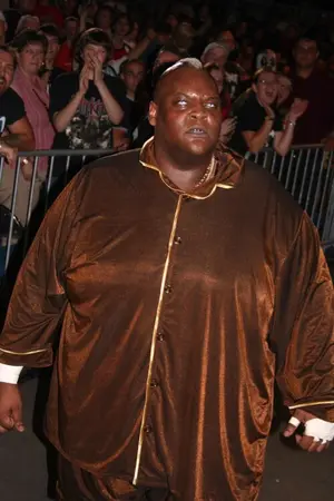 Viscera