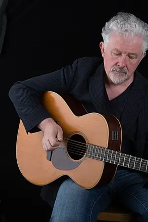 Tadhg Mac Dhonnagáin