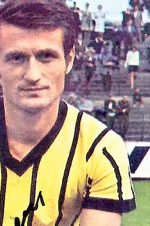 Ion Ionescu