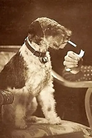 Lotte Lorring