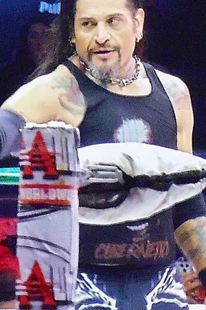 El Cibernético
