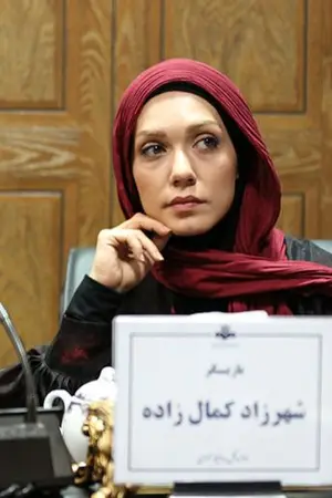 Shahrzad Kamalzadeh