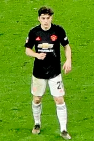Daniel James