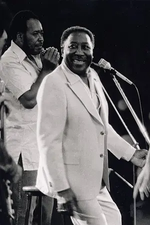 Muddy Waters