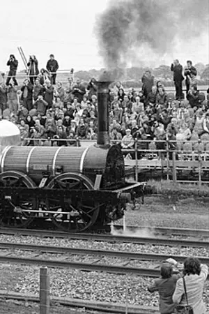 LMR 57 “Lion”