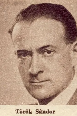 Sándor Török