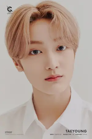Kim Taeyoung