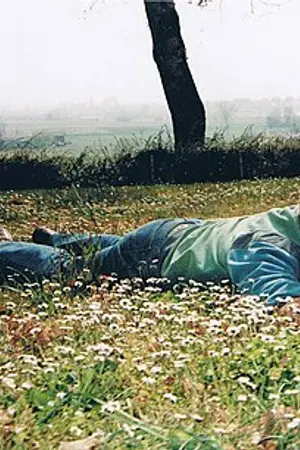 Daniel Gall
