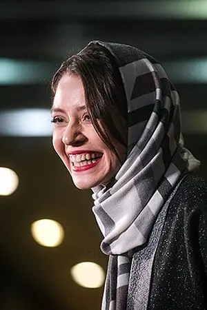Shadi Karamroudi