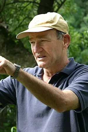 Tamás Almási