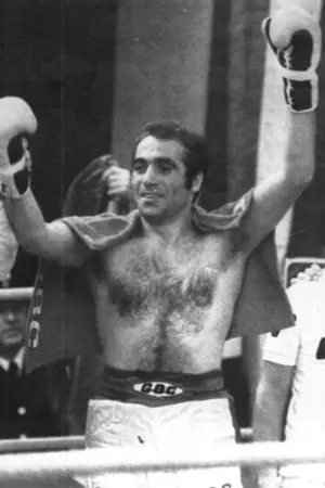 Domenico Adinolfi