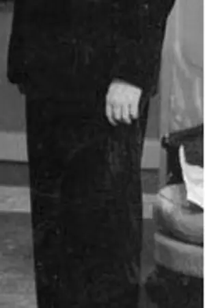 Adolfo Meyer
