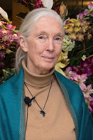 Jane Goodall