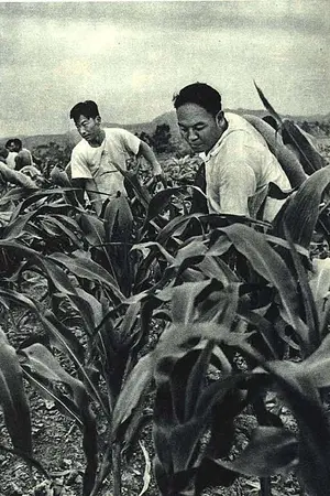 Li Zhun