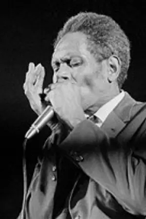 Big Walter Horton