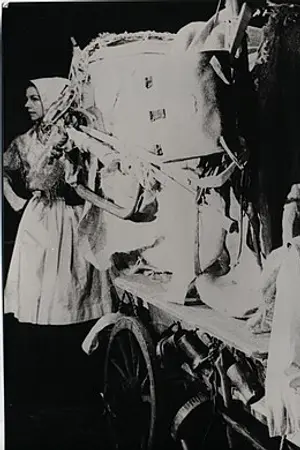 Renu Setna