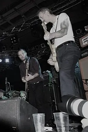 Swans