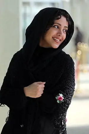 Hengameh Hamidzadeh