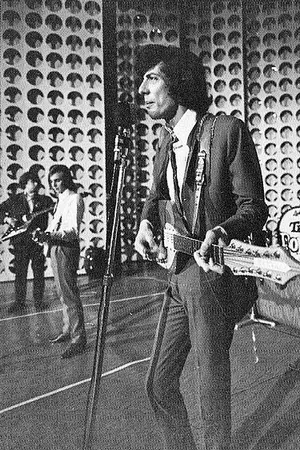 The Rokes