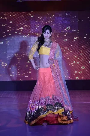 Anjali Lavania