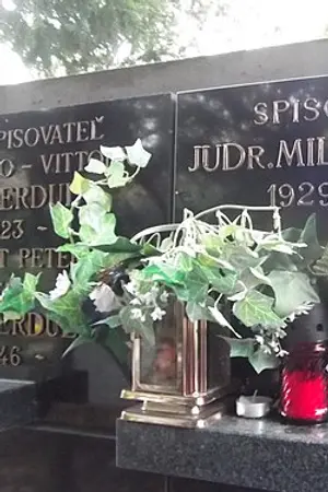 Milan Ferko