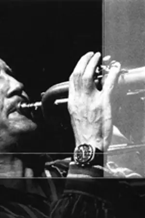 Bert Joris