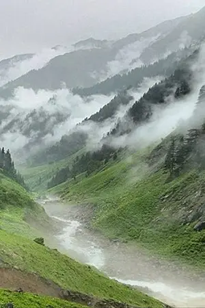 Neelam