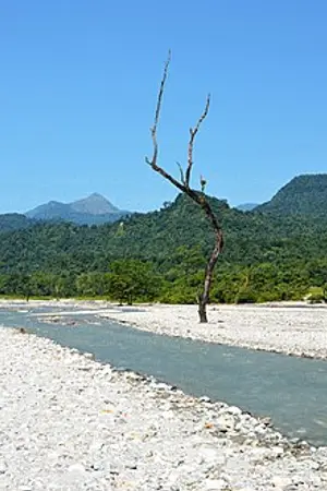Jayanti