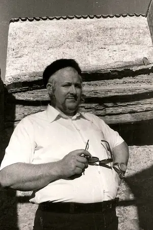 Wolf Vostell
