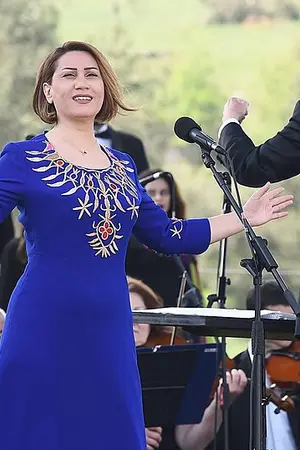 Azerin
